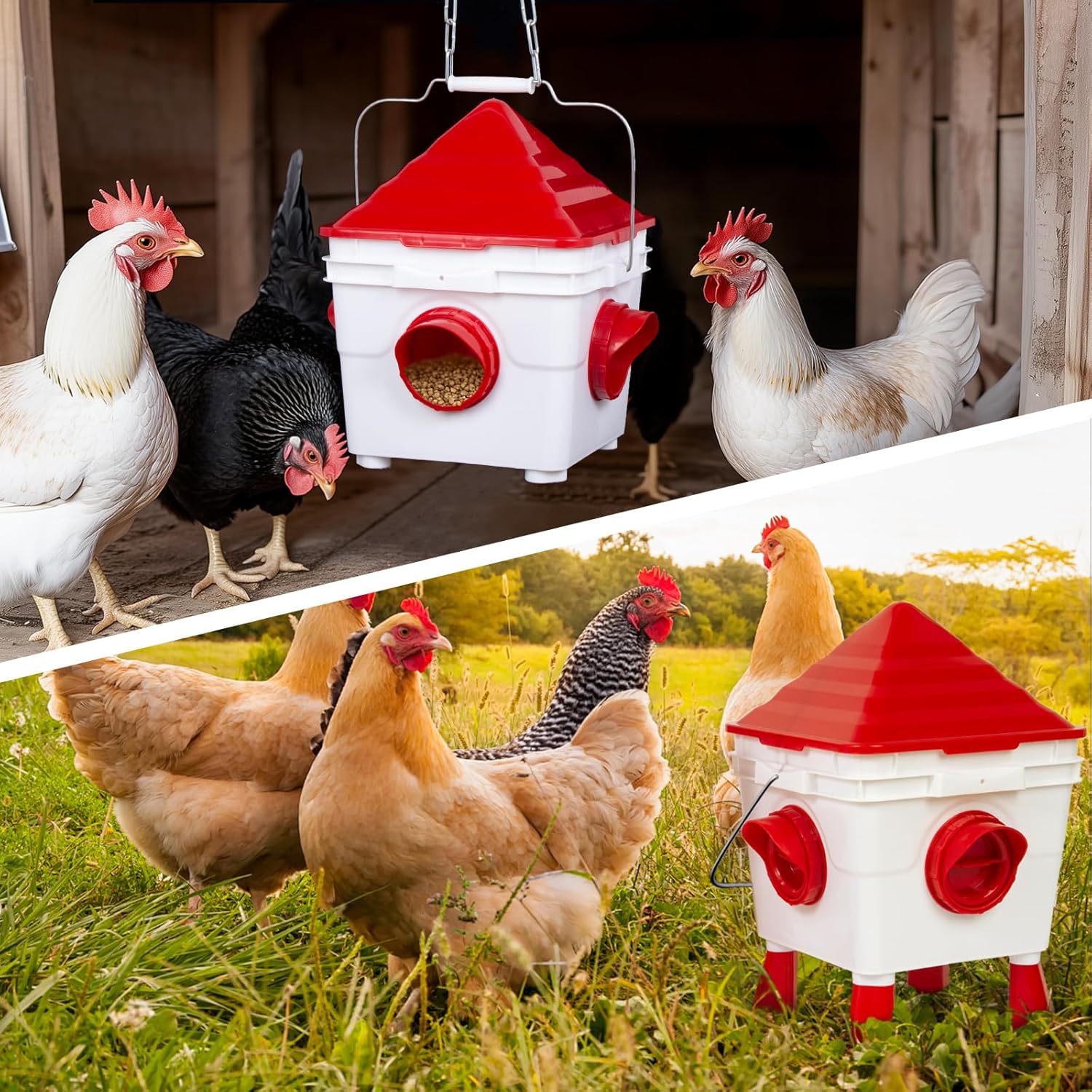 Abreuvoir à poule modèle 1, moins de gaspillage — 6