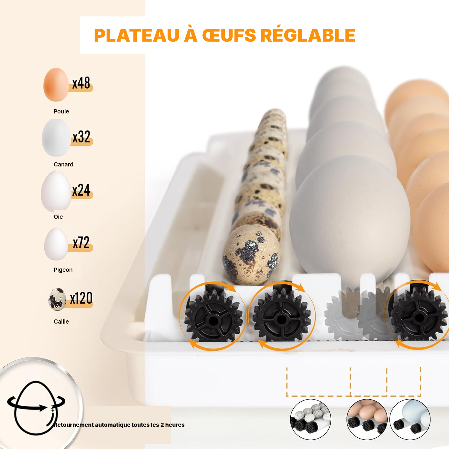 Couveuse auto 48 œufs moyen 40 cm — 3