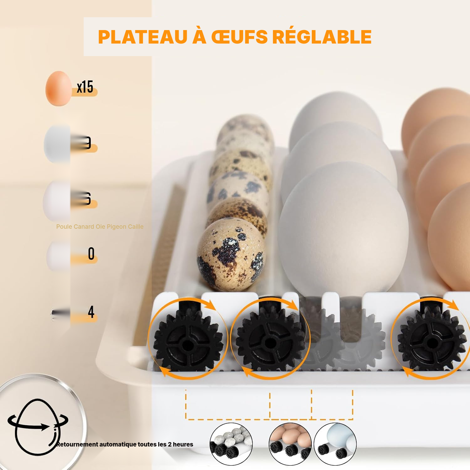 Couveuse automatique 15 œufs mini 31 cm LED — 3
