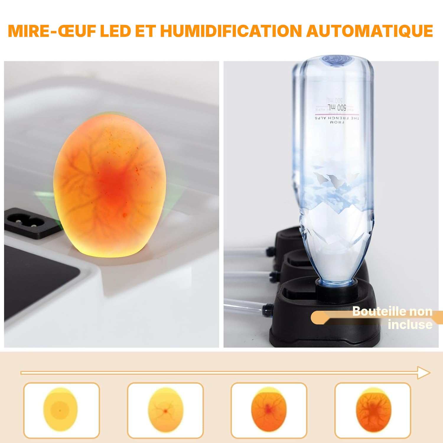 Couveuse automatique 15 œufs mini 31 cm LED — 4