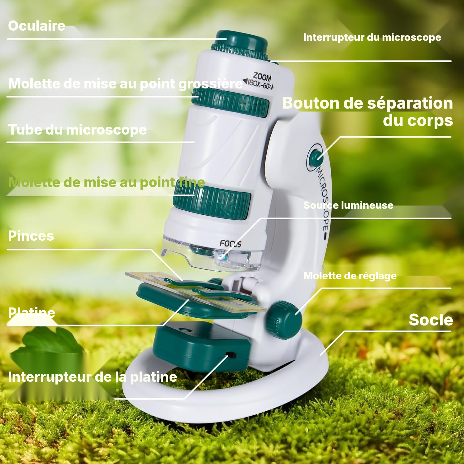 Microscope éducatif 60 à 180x avec éclairage LED — 2