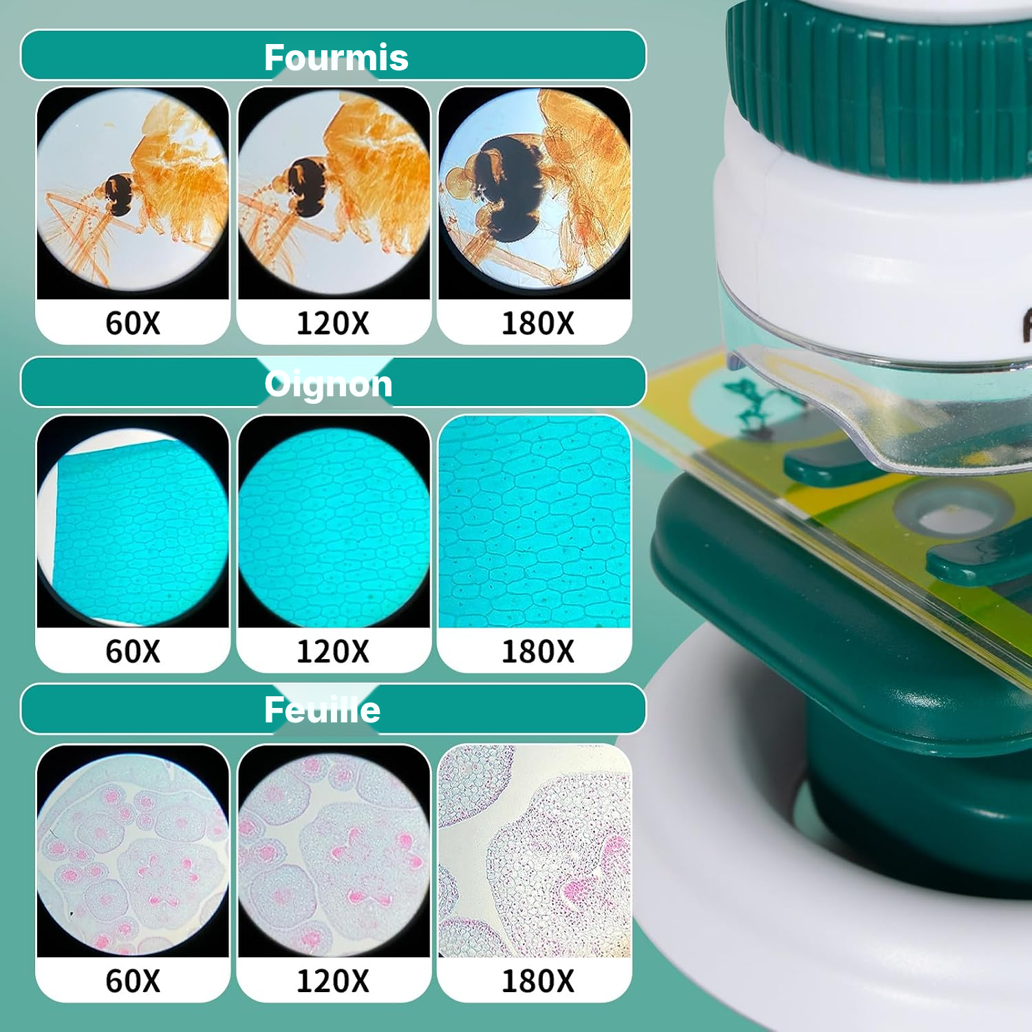 Microscope éducatif 60 à 180x avec éclairage LED — 4