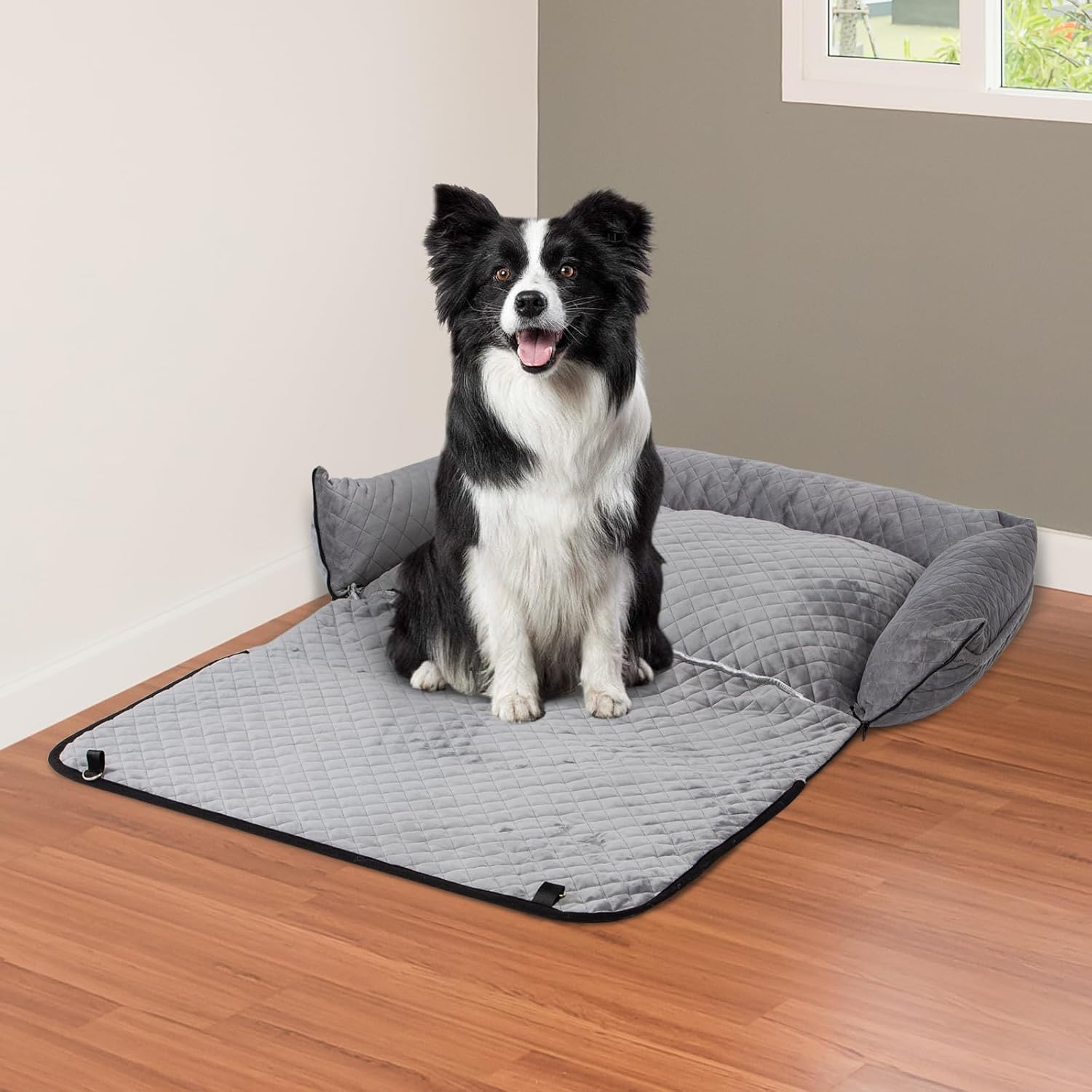 Siège auto chien — confort jusqu’à 25 kg — 7